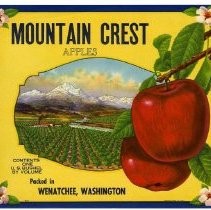 Mountain Crest Apples