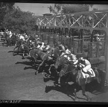 Negative, Safety, Unknown