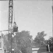 Negative, Safety, Unknown