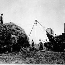 Portable Mill Grinding Alfalfa