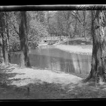 A French woodland scene