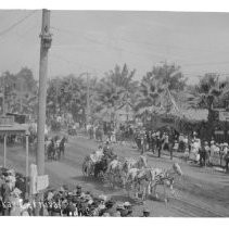 Tokay Carnival Lodi, California