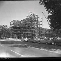 Negative, Safety, Unknown