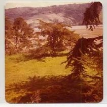 Photographs of landscape of Bolinas Bay