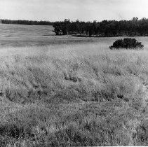 Clay Station Property