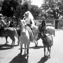 Fair Oaks Fiesta