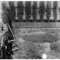 Negative, Glass Plate