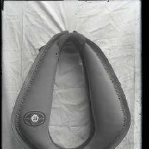 Negative, Glass Plate