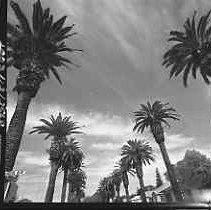 Negative, Safety, Unknown