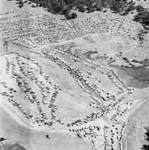 Print, Photographic, Black and White