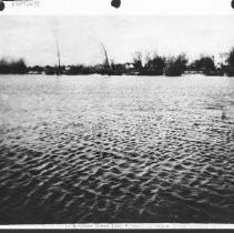 Print, Photographic, Black and White