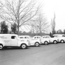 McCurry's Company Vehicles