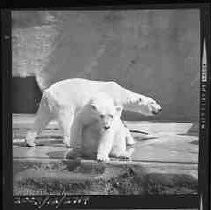 Negative, Safety, Unknown