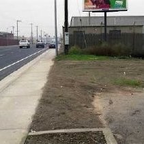 Richards Blvd. Tree planting beautification project