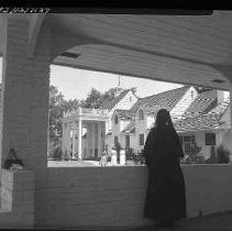 Negative, Safety, Unknown