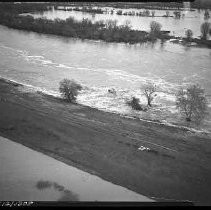 Negative, Safety, Unknown