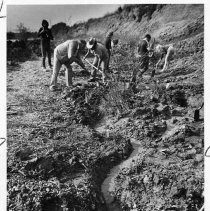 Excavation continues at mastodon site