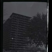 Negative, Safety, unknown