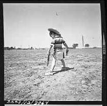 Negative, Safety, Unknown