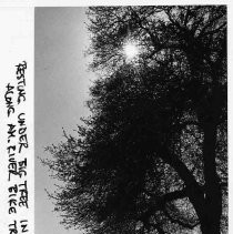 Resting in American River picnic area
