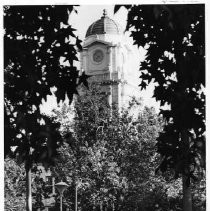 View of City Hall from across the street