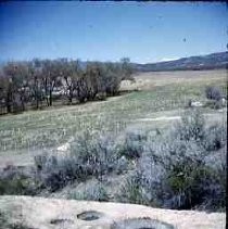 Slides of California Historical Sites. Indian Site, San Carlos Pass, Riverside County, Calif