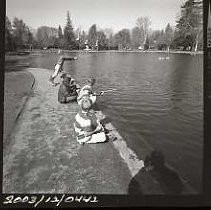 Negative, Safety, Unknown