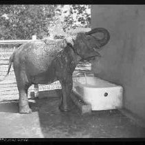 Negative, Safety, Unknown