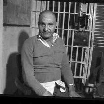 Negative, Safety, Unknown