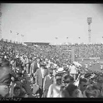 Negative, Safety, Unknown