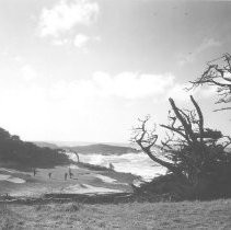 Golf at Pebble Beach