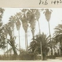 Print, Photographic, Black and White