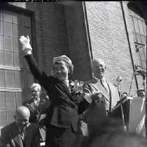 Negative, Safety, Unknown