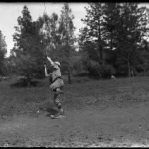 Negative, Glass Plate