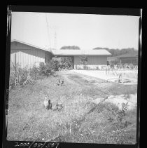 Menard Resort Swimming Pool