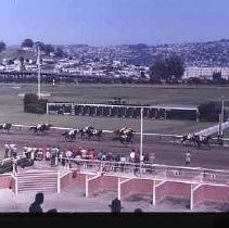 Golden Gate Fields racehorse track