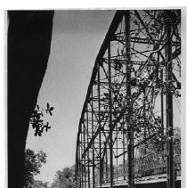 Bridgehouse on the Cosumnes River