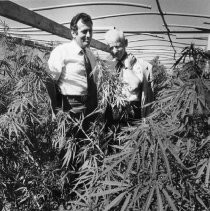 Print, Photographic, Black and White