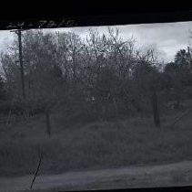 Negative, Safety, unknown