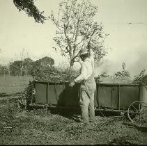 Brush Burning