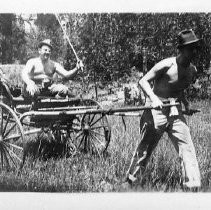 Horse Play at the Ranch