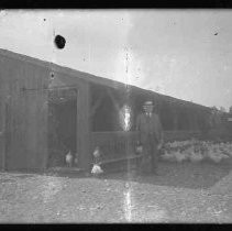 Negative, Glass Plate