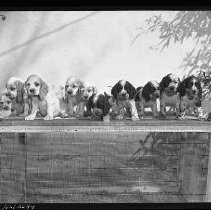 Negative, Safety, Unknown