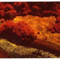 Photographs of landscape of Bolinas Bay. aerial