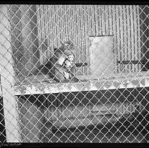 Negative, Safety, Unknown