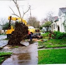 Windstorm