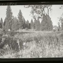 Negative, Safety, unknown