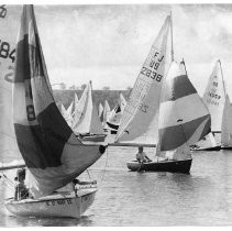 Camellia Festival Sports Activities