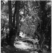 View of Clear Lake State Park. This view shows a hiking trail around the lake