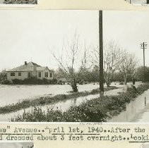 Print, Photographic, Black and White